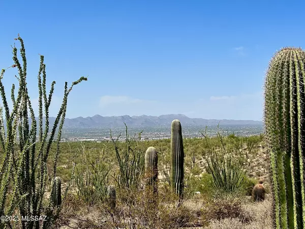 Tucson, AZ 85743,5593 N Park Ridge Place