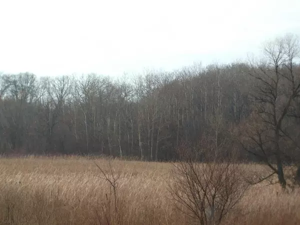 Whitewater, WI 53190,Lt3 COUNTY ROAD N