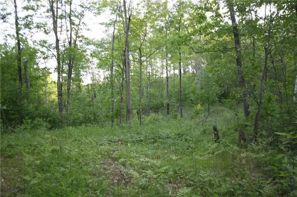 Springbrook, WI 54875,Lot 7 Timber Wolf Drive