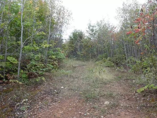 Herbster, WI 54844,Near Old Road