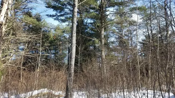 Cable, WI 54821,Lot 6 Bondegard Drive