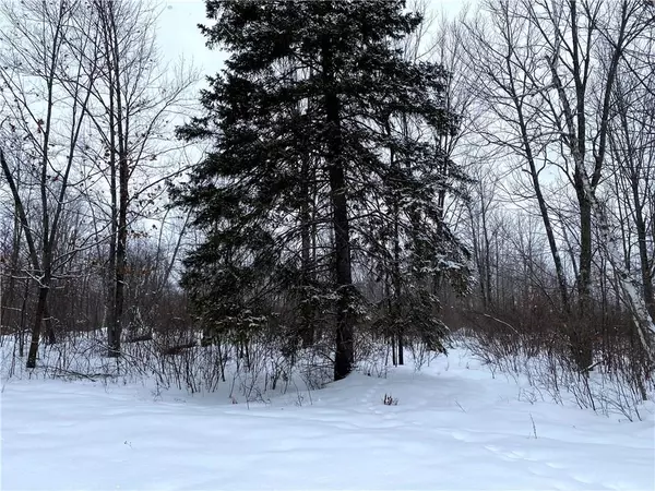 Hayward, WI 54843,Lot 1 Trapper Trail