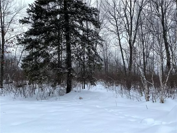 Lot 1 Trapper Trail, Hayward, WI 54843