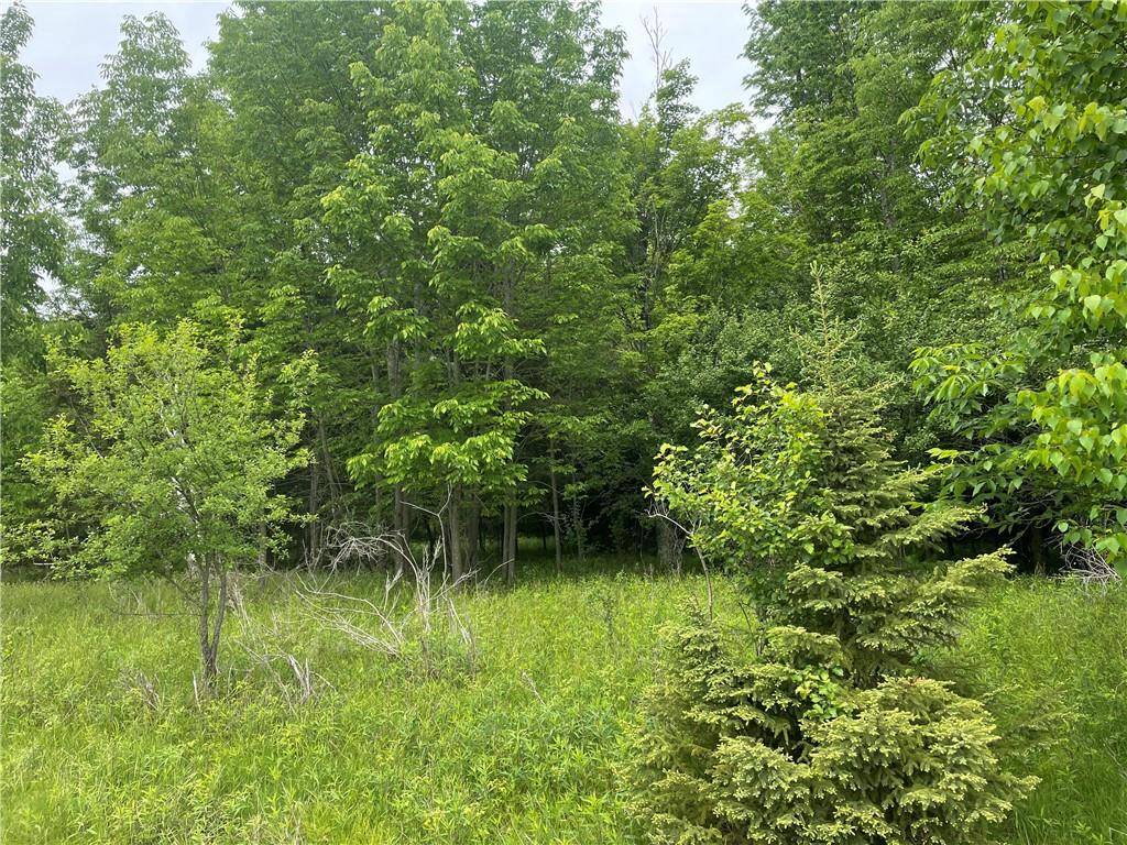 Park Falls, WI 54552,Lot 2 Margaret Lane