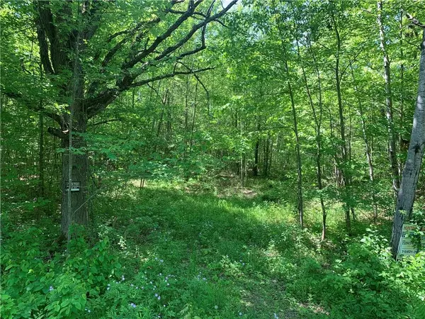 0 10th Avenue, Fall Creek, WI 54742