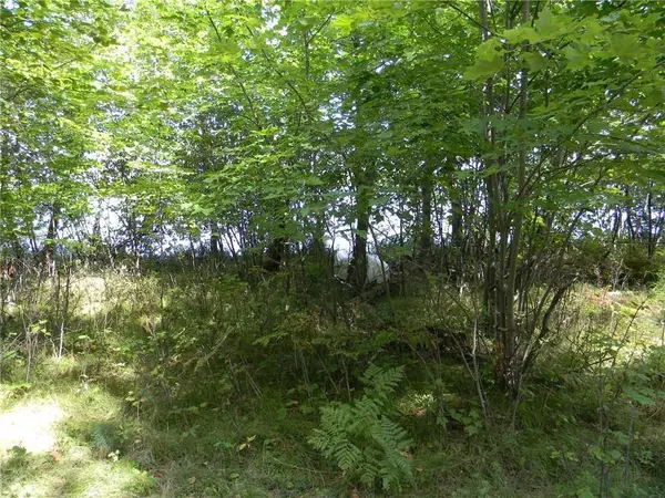 Gordon, WI 54838,0 S Crystal Beach Road