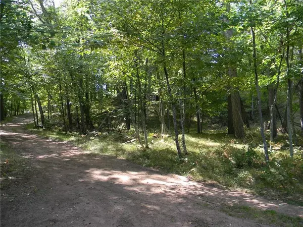 Gordon, WI 54838,0 S Crystal Beach Road