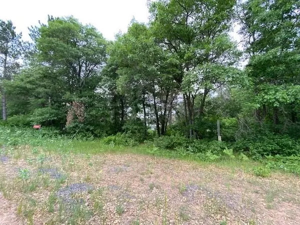 Barnes, WI 54873,55065 Silverwolf Drive