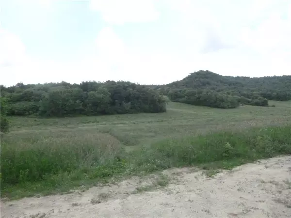 Arcadia, WI 54612,0000 George Lane