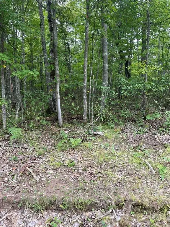 Barnes, WI 54873,0 Valley Drive