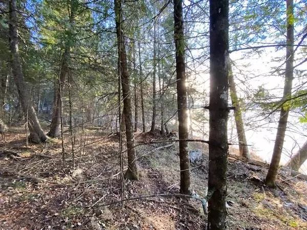 Solon Springs, WI 54873,Lot 2 S Engstad Road