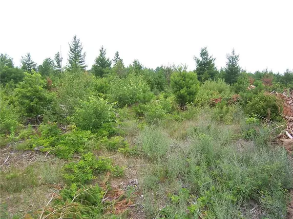 Webster, WI 54893,Lot 2 Black Brook Road