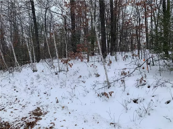 Hayward, WI 54843,0 Woodland Road