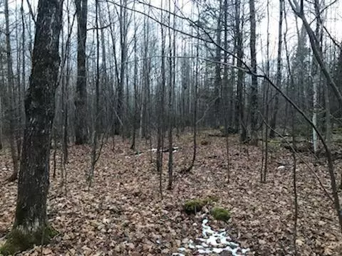 Clam Lake, WI 54517,40 acres Forest 346 Road