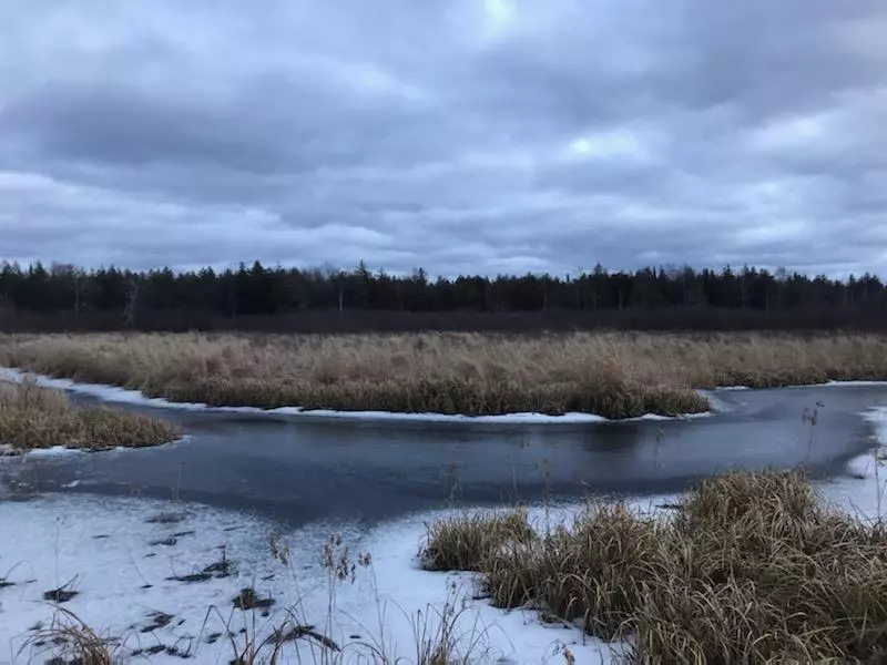 Clam Lake, WI 54517,40 acres Forest 346 Road