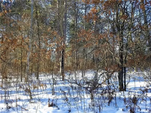 Barnes, WI 54873,Lot 8 Wilderness Ct