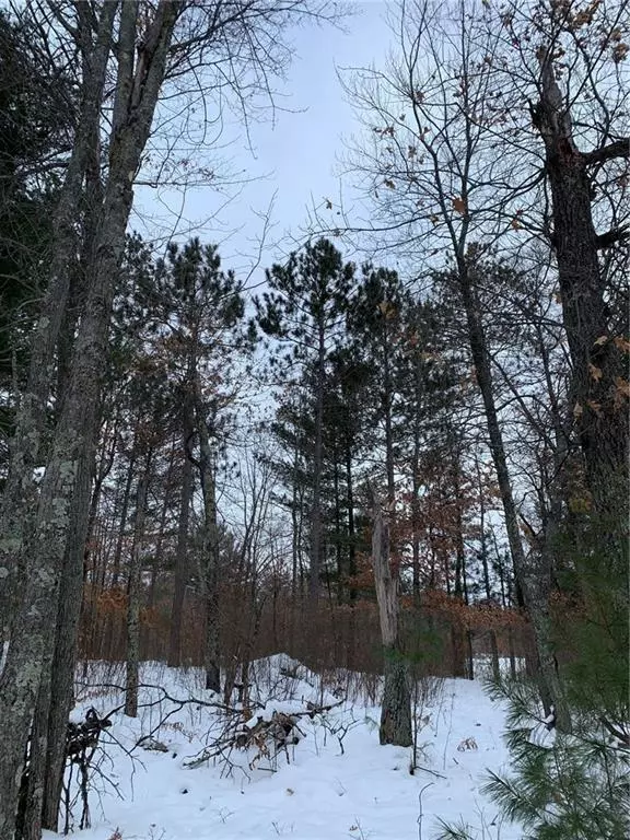 Webb Lake, WI 54830,LOT 20 Honker Hollow