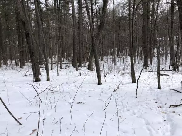 Elk Mound, WI 54755,Lot 4 331st Avenue