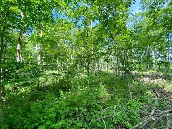 Ojibwa, WI 54862,Lot 10 Hwy 70