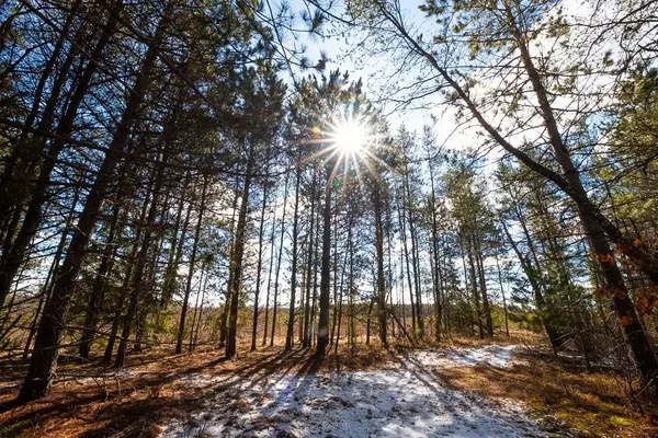 0 Ge-No Lane, Springbrook, WI 54875