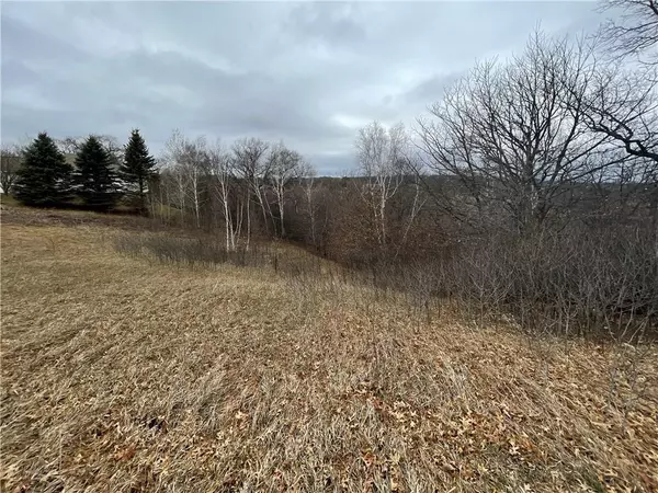 Osceola, WI 54020,xx 84th Avenue