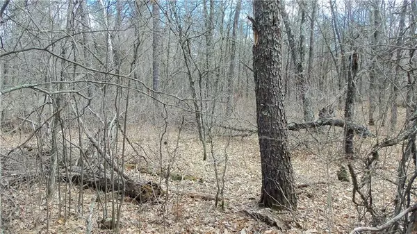 Grantsburg, WI 54840,LOT 3 EVERGREEN AVE