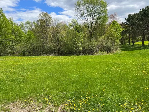 Sarona, WI 54870,N 1846 County Hwy D