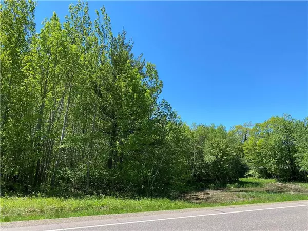 Sarona, WI 54870,XXX State Hwy 253