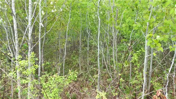 Spooner, WI 54801,LOT 3 BEAVER DAM RD