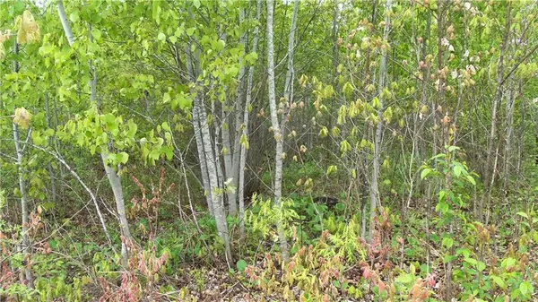 Spooner, WI 54801,LOT 3 BEAVER DAM RD