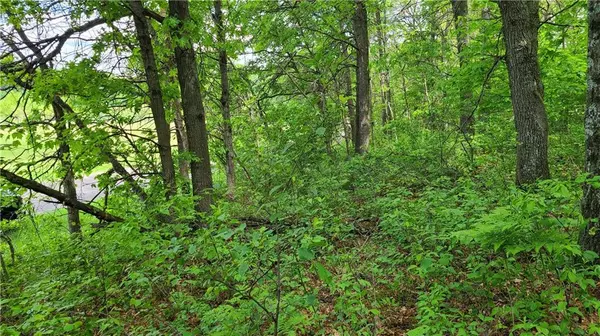 00 490th St, Ridgeland, WI 54763