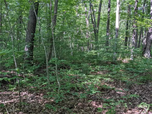 Stone Lake, WI 54876,Lot 0 Cty Rd F