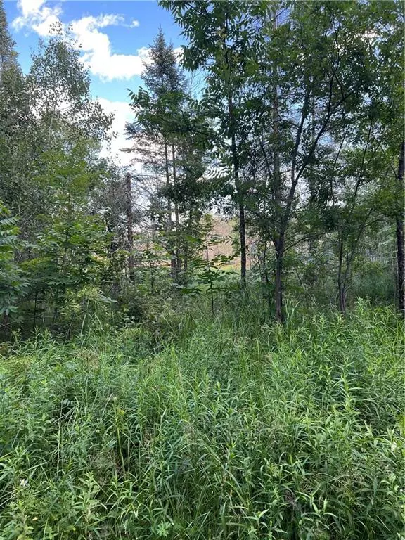 Barnes, WI 54873,0 43 Road