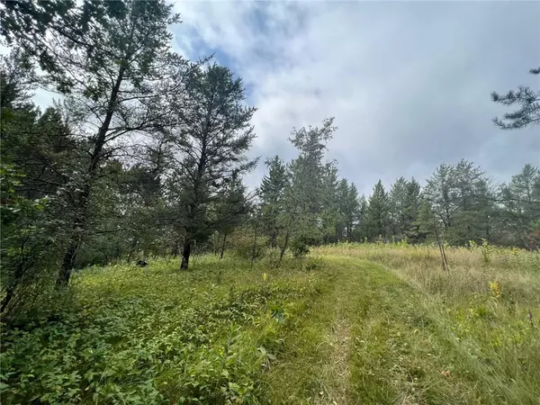 Grantsburg, WI 54024,0000 275th Street