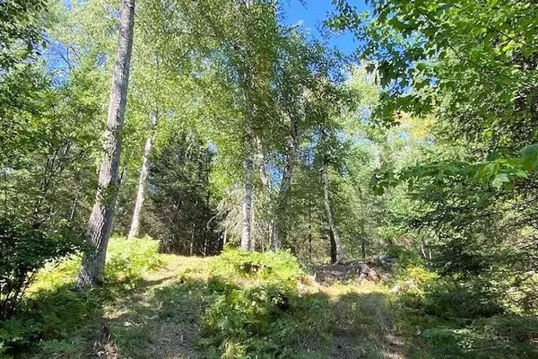 Clam Lake, WI 54517,Lot 1 Mathey Road