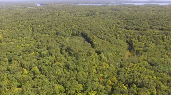 0 Lapcinski Road, Sarona, WI 54870