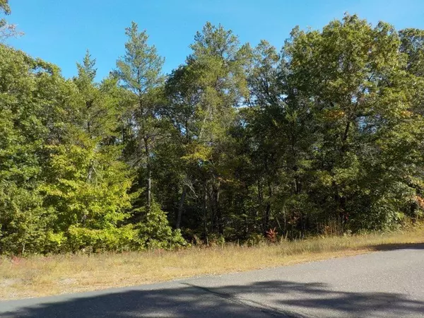 Grantsburg, WI 54840,24410 Borg Road