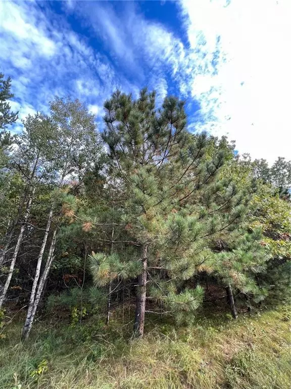Grantsburg, WI 54840,0000N Galesky Road