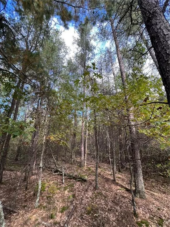 0000N Galesky Road, Grantsburg, WI 54840