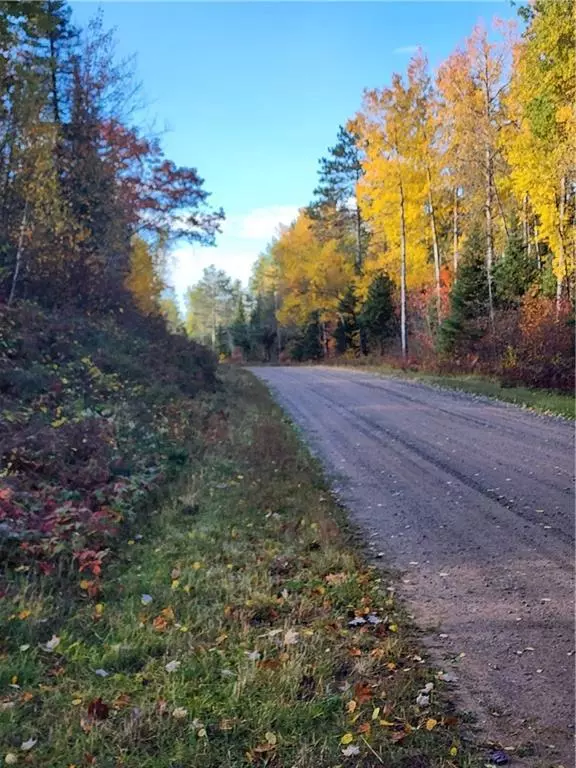 Cable, WI 54821,Lot 42, Lot 43 Stone Pine