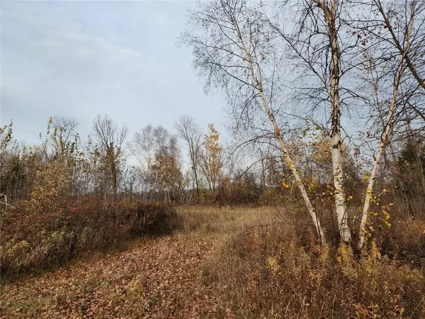 Comstock, WI 54826,2017 1/2 Street