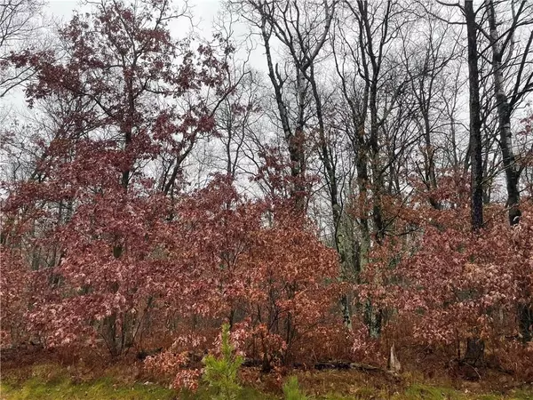 Spooner, WI 54888,0 Lincoln Lake Road