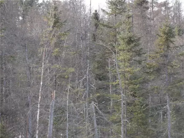 Butternut, WI 54514,Near Bass Lake Road