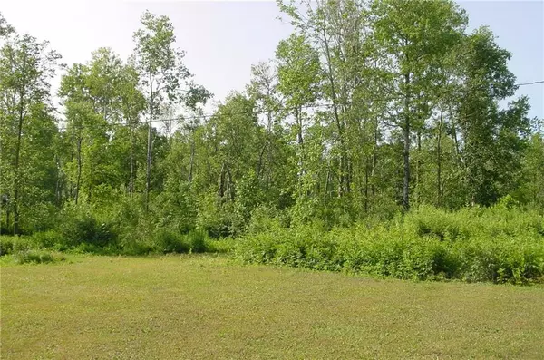 Ojibwa, WI 54862,W8651 Deer Lane