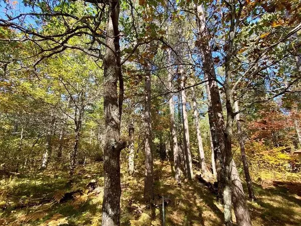 Barnes, WI 54873,Lot 22 Golden Eagle Trail
