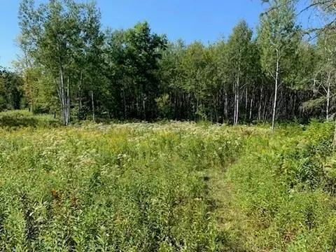 Ojibwa, WI 54862,0 Northern Shores Way