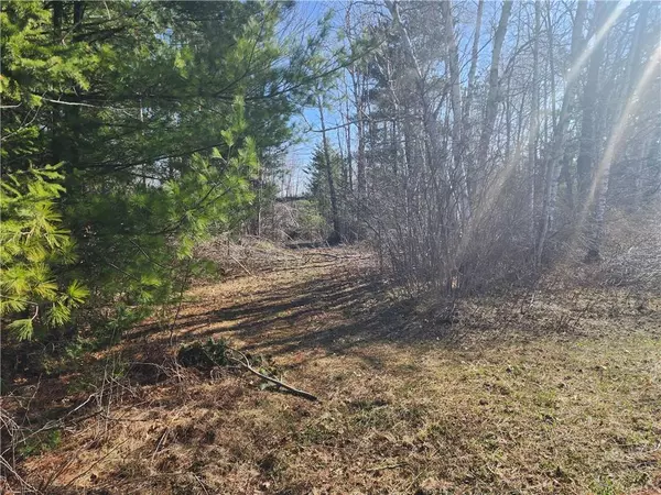 Exeland, WI 54835,Lot 6 Smith Road