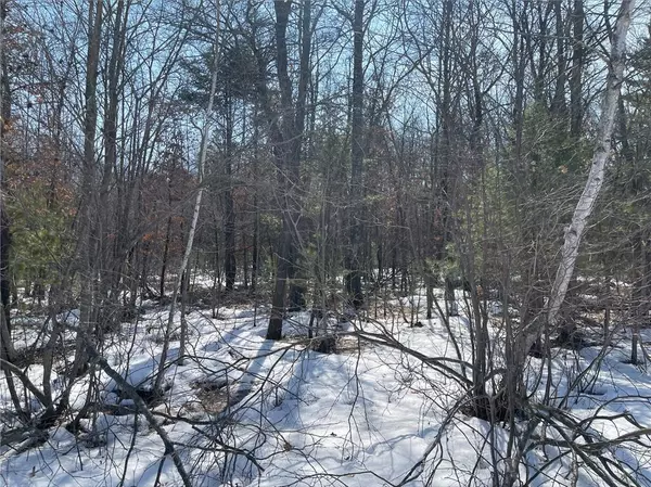 Fall Creek, WI 54742,S2019 Water Tower Road