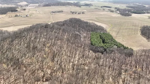 0 Dry Coulee Road, Nelson, WI 54756