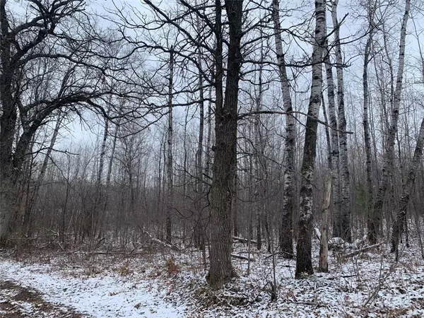 Spooner, WI 54801,00 4th Avenue